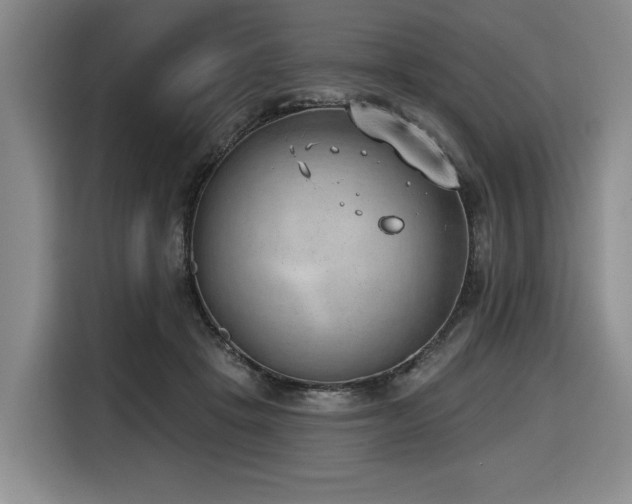 X0000116650457200912141259