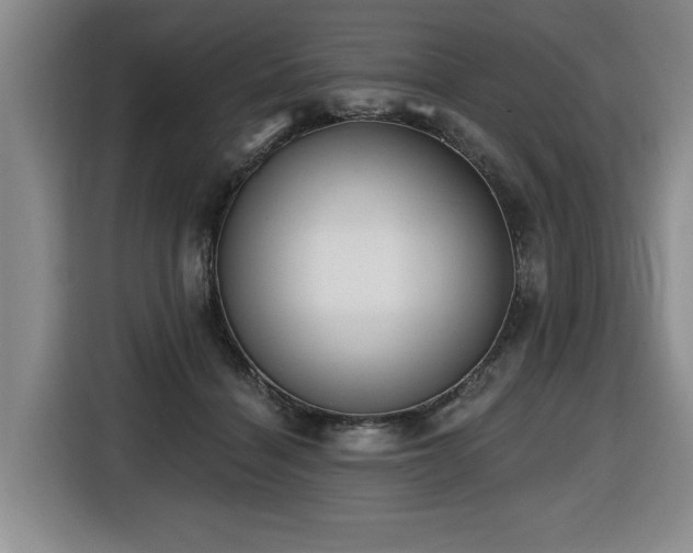 X0000116650460200912141259