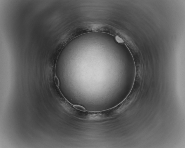 X0000116650461200912141259