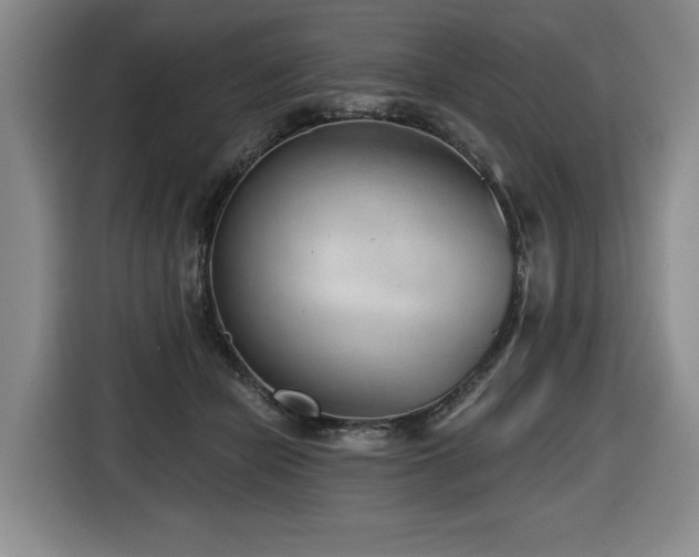 X0000116650462200912141259