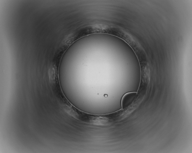 X0000116650463200912141259