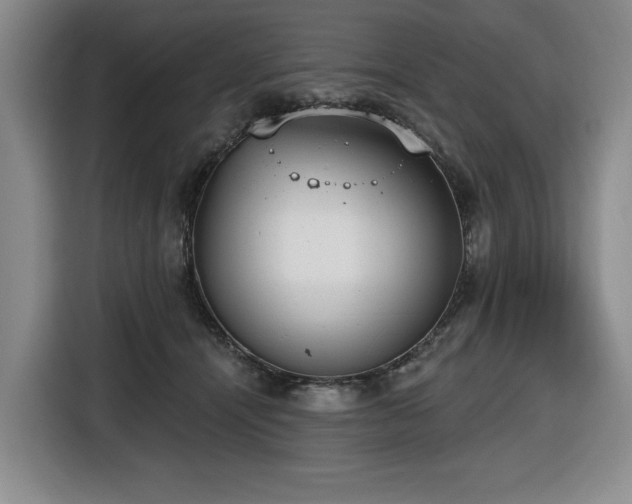 X0000116650464200912141259