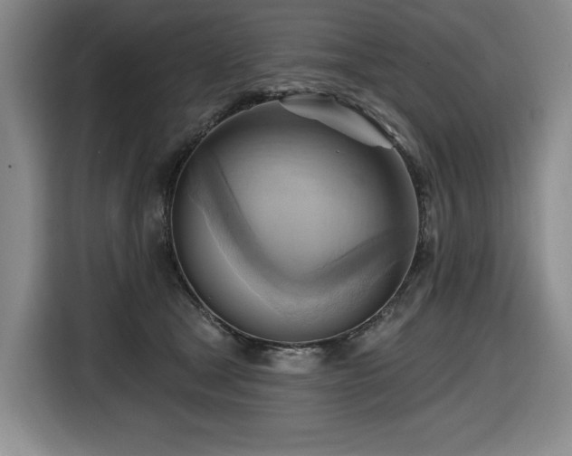 X0000116650465200912141259