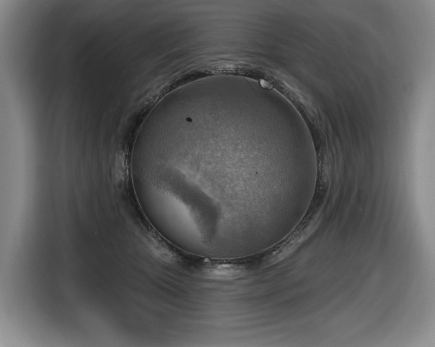 X0000116650467200912141259
