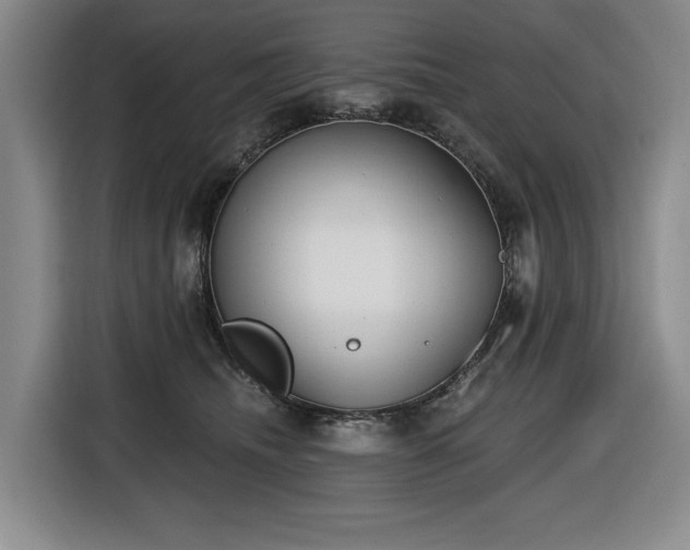 X0000116650468200912141259