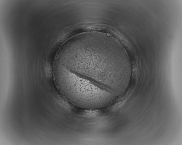X0000116650469200912141259