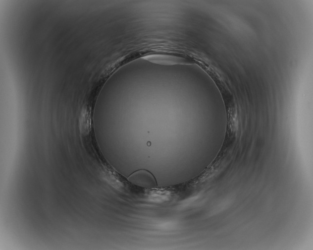 X0000116650471200912141259