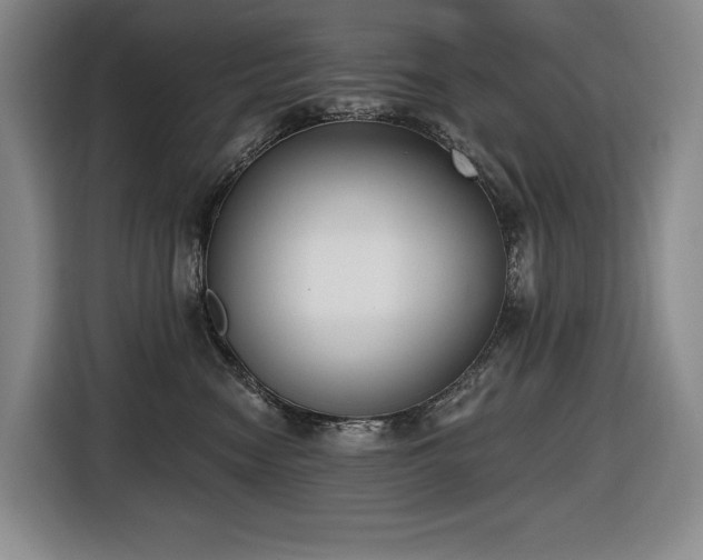 X0000116650474200912141259