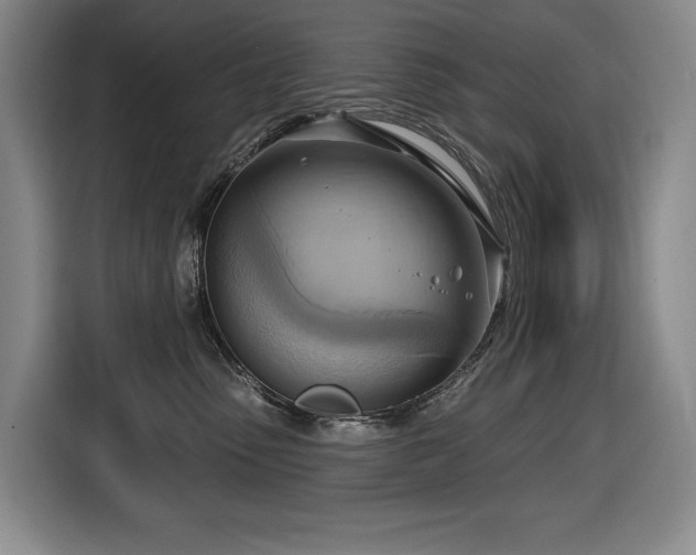 X0000116650475200912141259