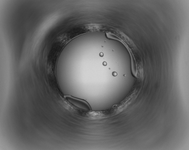 X0000116650477200912141259
