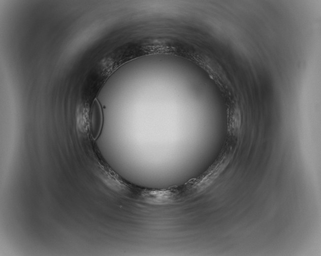 X0000116650478200912141259