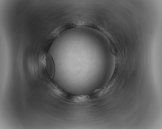 X0000116650479200912141259