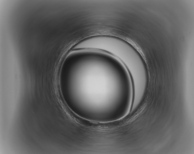 X0000116650481200912141258