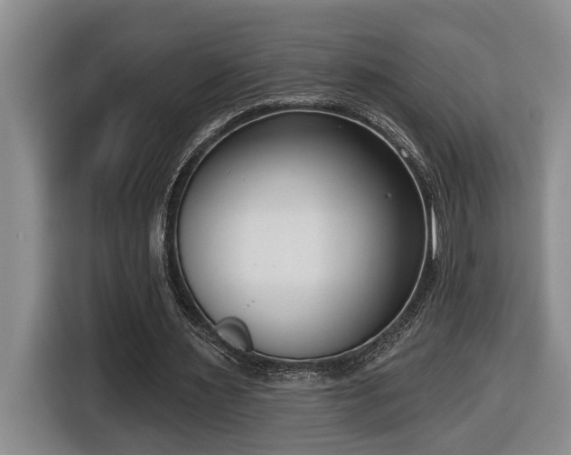 X0000116650483200912141258