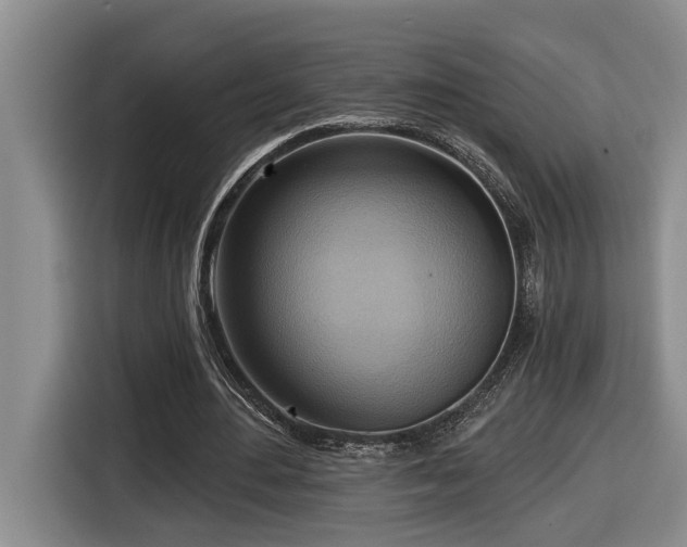 X0000116650484200912141258