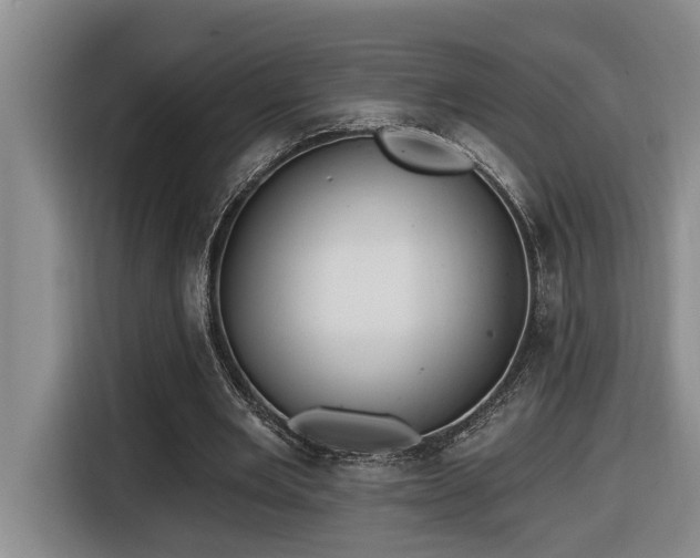 X0000116650485200912141258