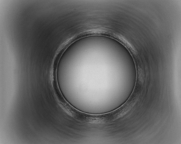 X0000116650486200912141258
