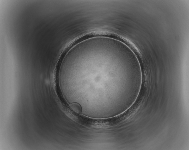 X0000116650487200912141258