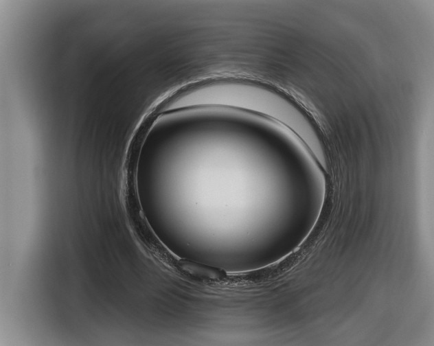 X0000116650488200912141258