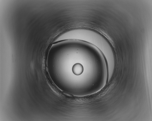 X0000116650489200912141258