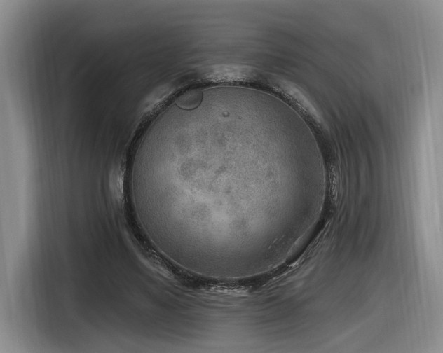 X0000116650491200912141258