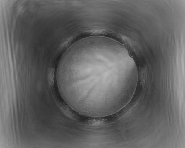 X0000116650495200912141258
