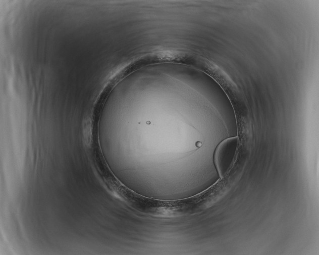 X0000116650496200912141258