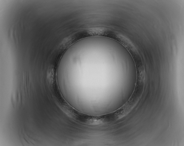X0000116650498200912141258