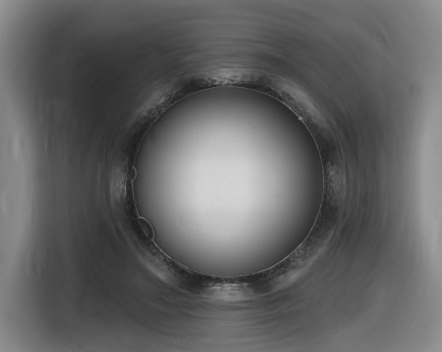 X0000116650499200912141258