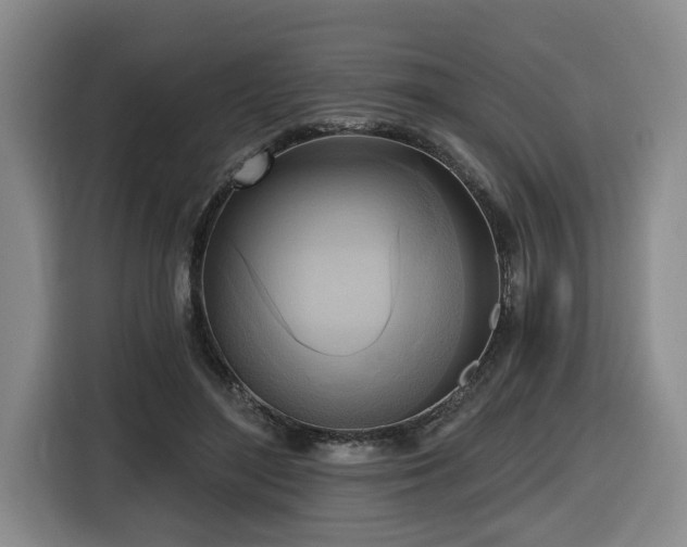 X0000116650500200912141258