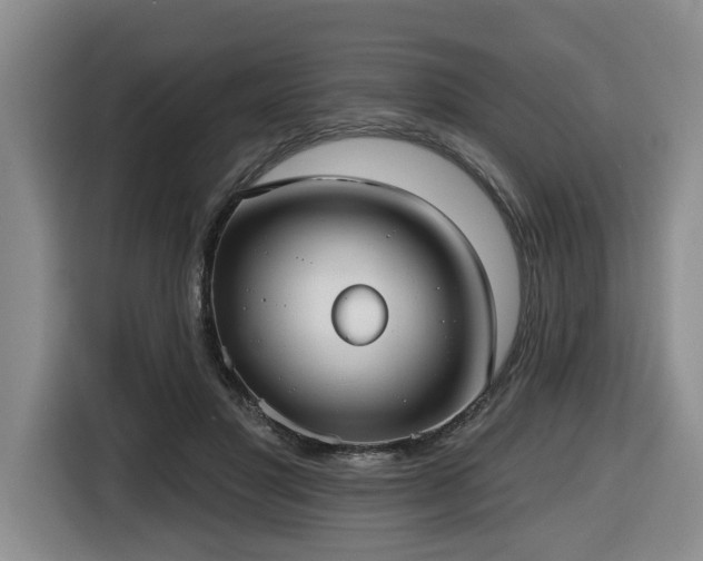 X0000116650501200912141258