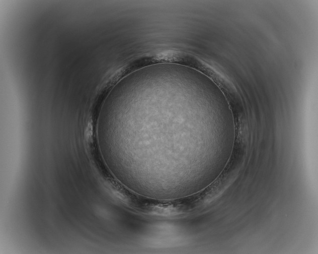 X0000116650502200912141258