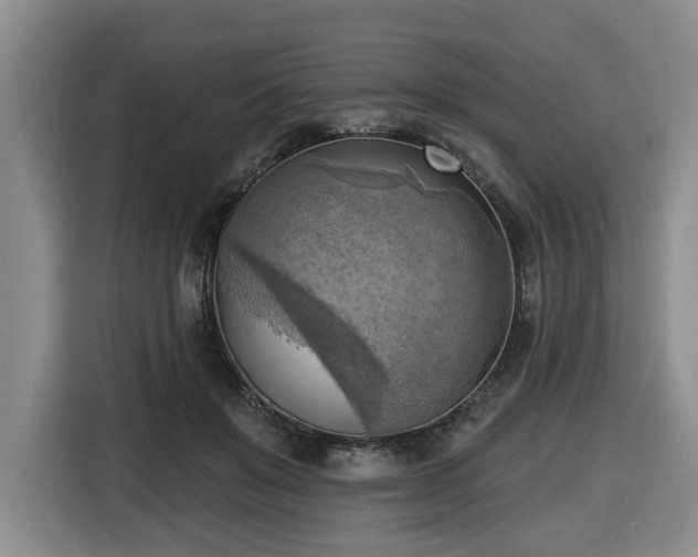 X0000116650503200912141258