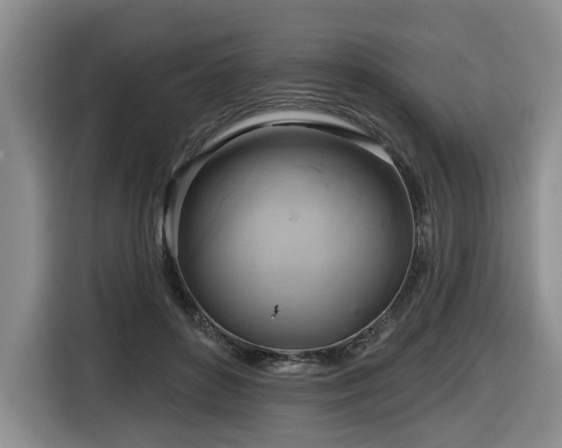 X0000116650504200912141258