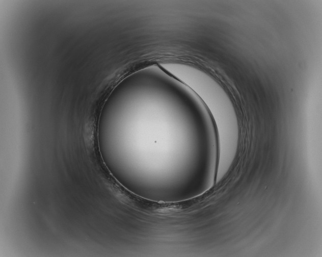 X0000116650505200912141258