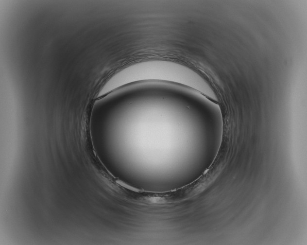 X0000116650509200912141258