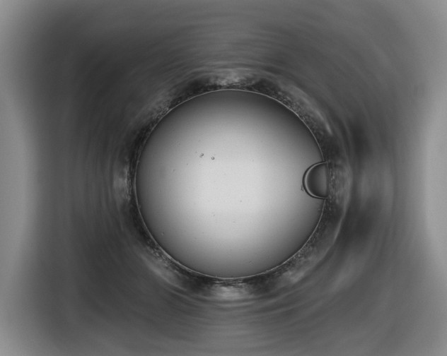X0000116650510200912141258
