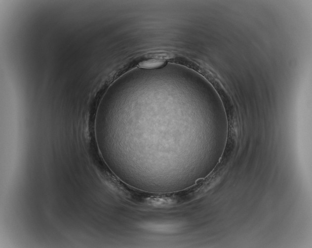 X0000116650512200912141258