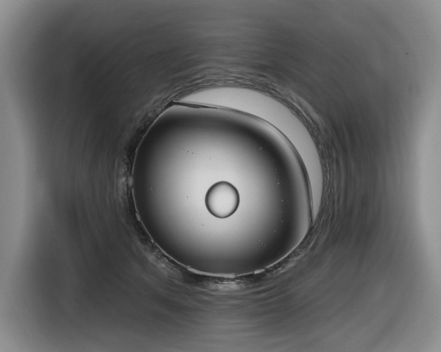 X0000116650513200912141258
