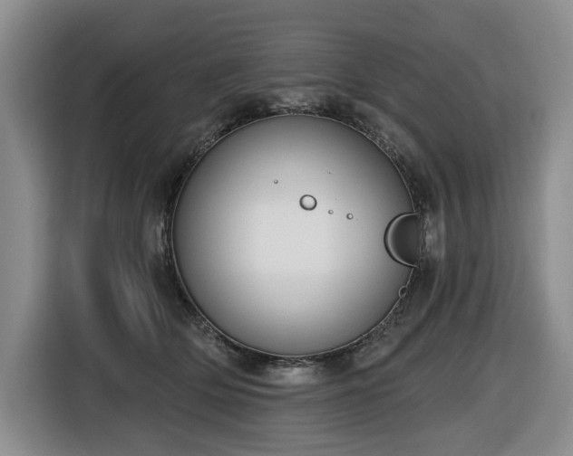 X0000116650514200912141258
