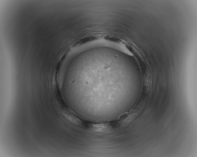 X0000116650516200912141258