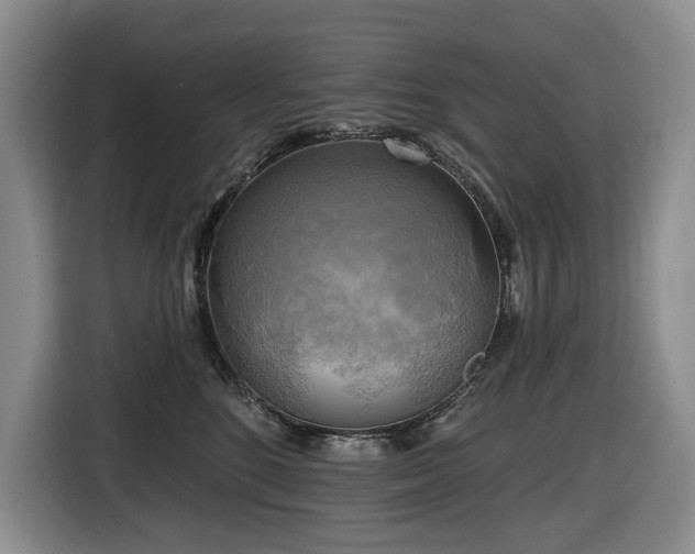 X0000116650520200912141258