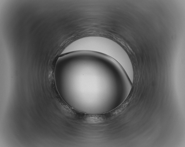 X0000116650521200912141258