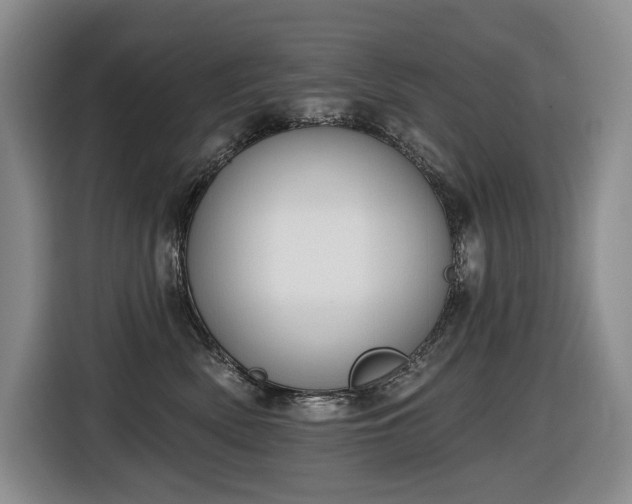 X0000116650522200912141258