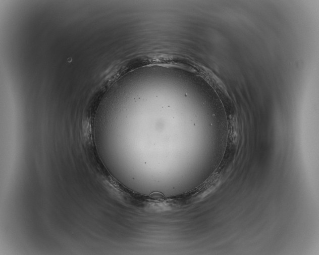 X0000116650523200912141258