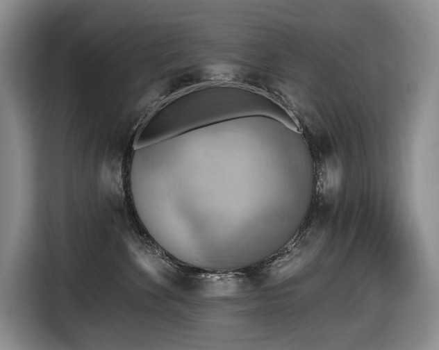 X0000116650524200912141258