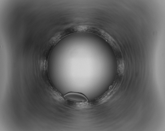 X0000116650525200912141258