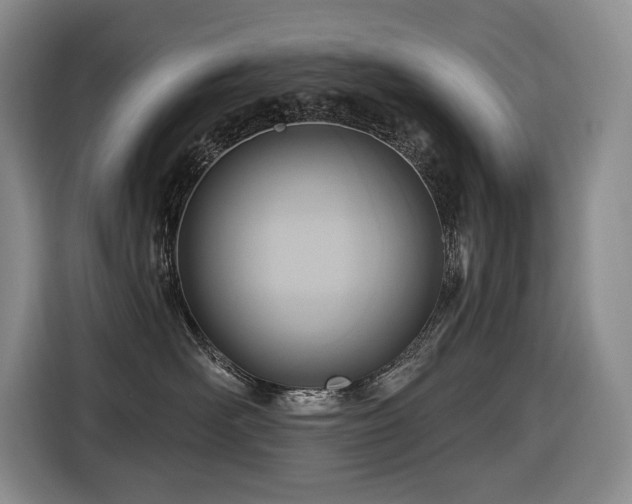 X0000116650526200912141258