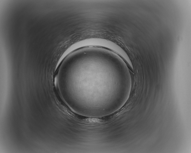 X0000116650528200912141258