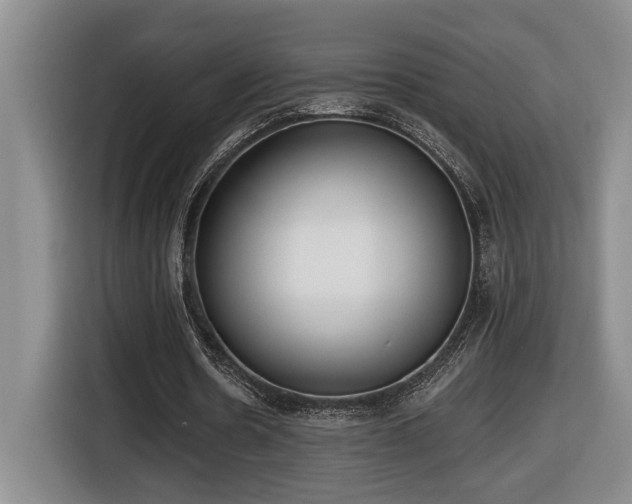 X0000116650530200912141257